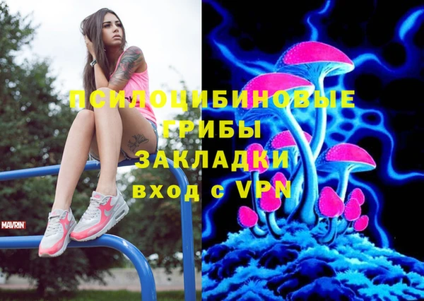 PSILOCYBIN Богородицк
