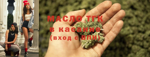 индика Богородск