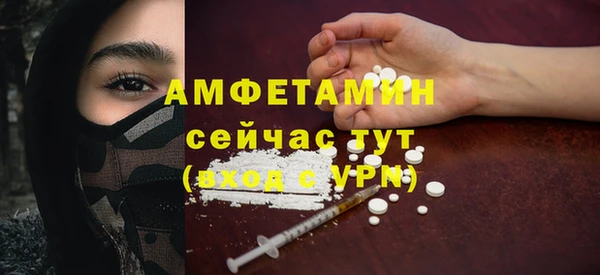 ПСИЛОЦИБИНОВЫЕ ГРИБЫ Богданович