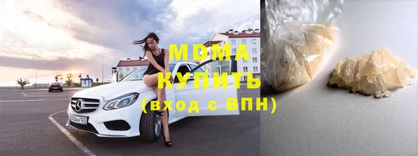 индика Богородск