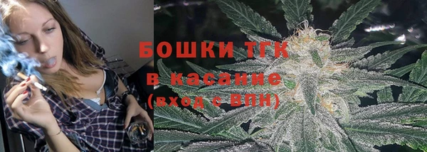 индика Богородск