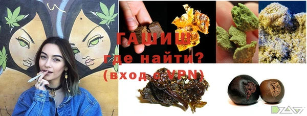 индика Богородск