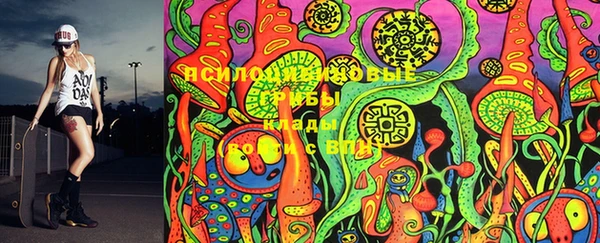 PSILOCYBIN Богородицк