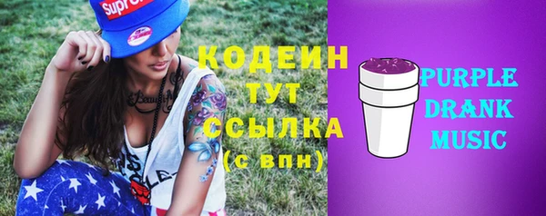 ПСИЛОЦИБИНОВЫЕ ГРИБЫ Богданович