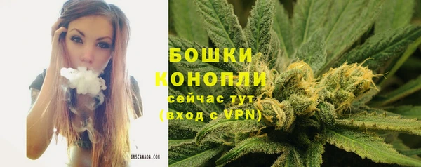 гидропоника Бронницы