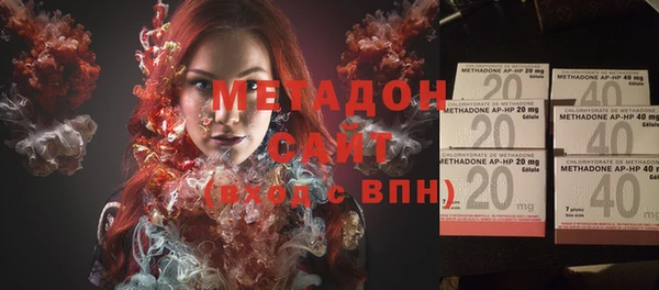 индика Богородск