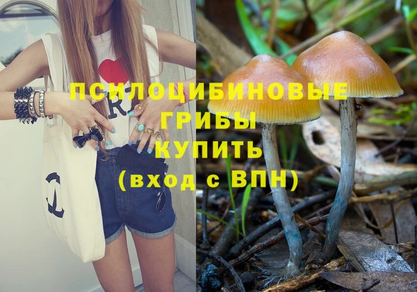 ПСИЛОЦИБИНОВЫЕ ГРИБЫ Богданович